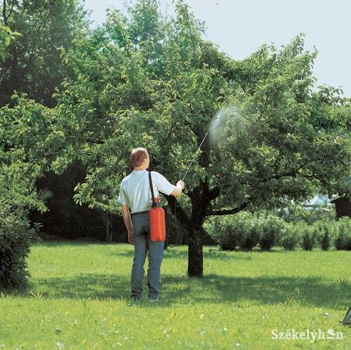 A tapasztalat azt mutatja, hogy a gazdák inkább saját szakállukra próbálkoznak növényvédelemmel 