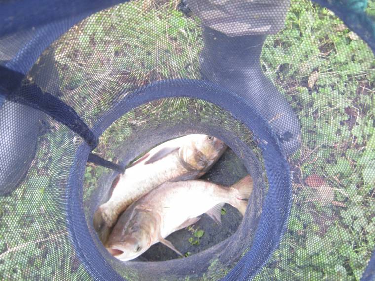 Horgászmaraton 14 éves bajnokkal Gyergyóremetén