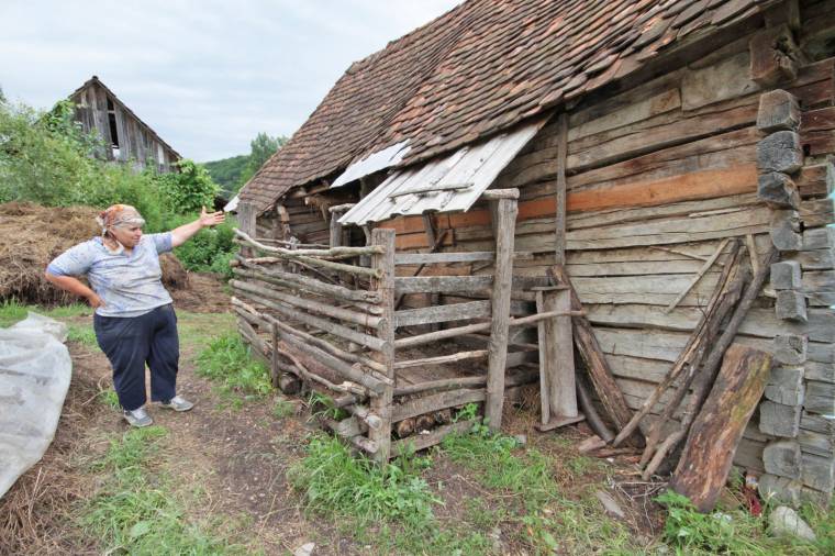 Dúlt a medve Szolokmán
