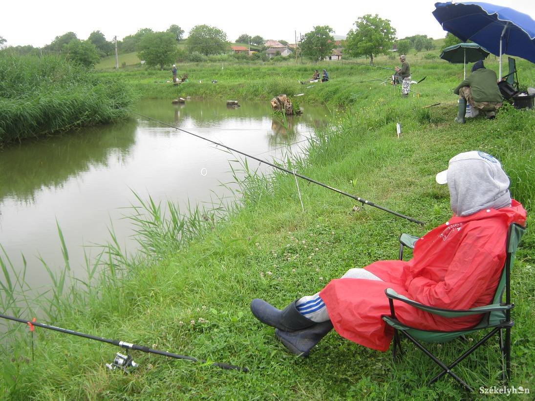 &bullet;  Fotó: Gligor Róbert László