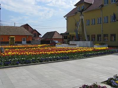 Lakosságnyilvántartó iroda nyílt Nyárádtőn
