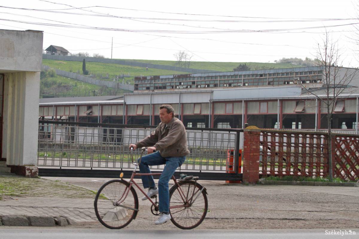 •  Fotó: Boda L. Gergely