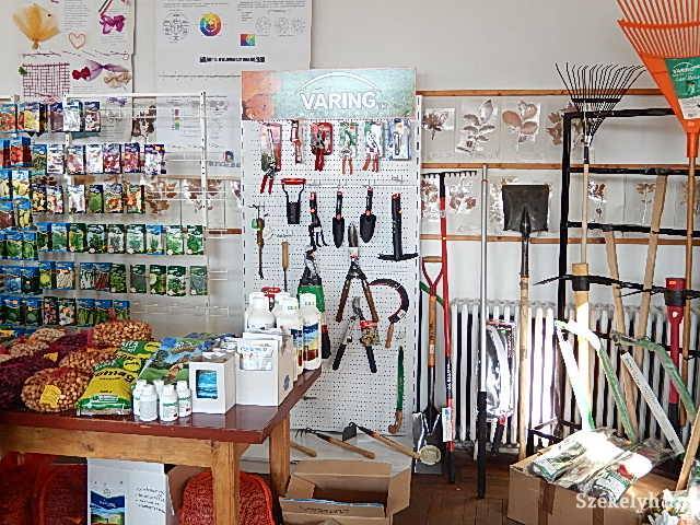 Illusztráció • Fotó: Gligor Róbert László