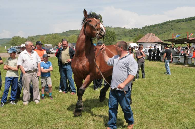 Se barompiac, se támogatás a gazdáknak