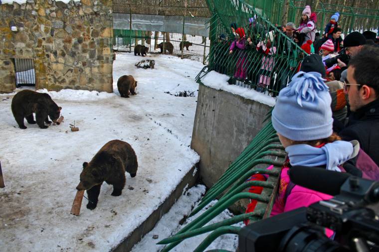 Kihagyott fél évszázados évforduló
