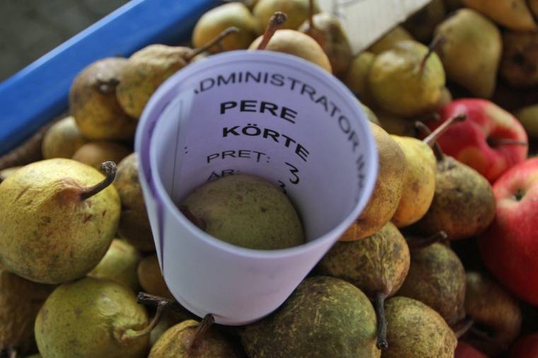 Mégiscsak kétnyelvűsítik a vásárhelyi piacokat