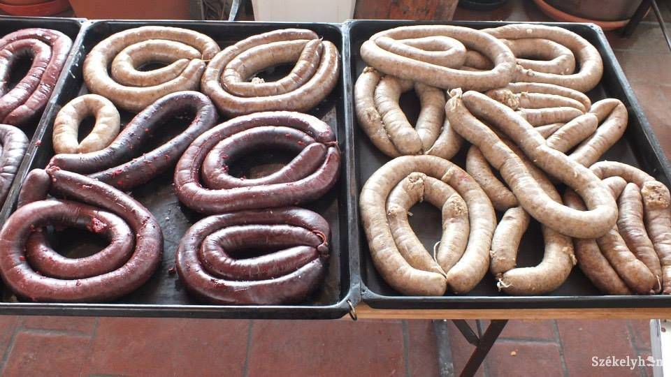 • Fotó: Gligor Róbert László