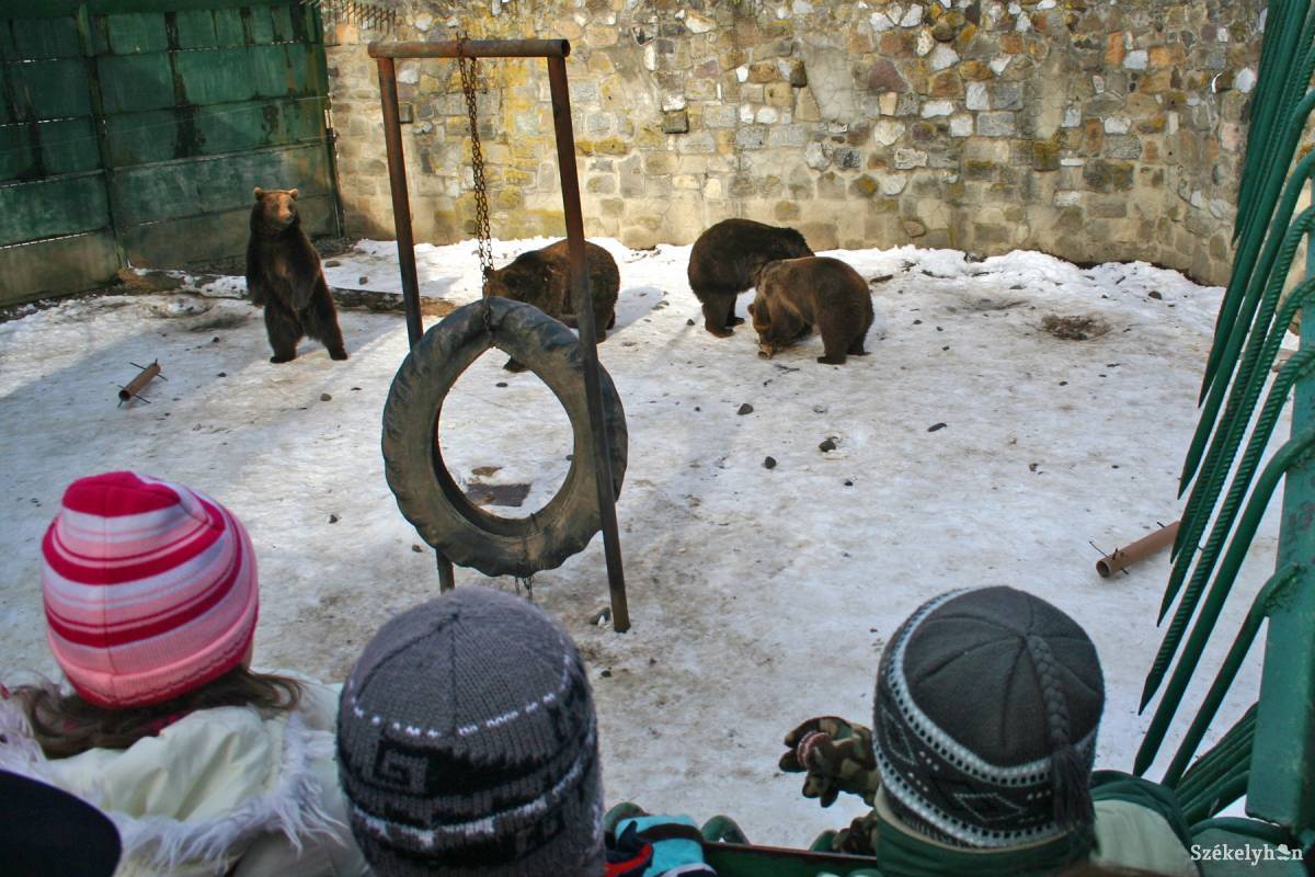 • Fotó: Haáz Vince