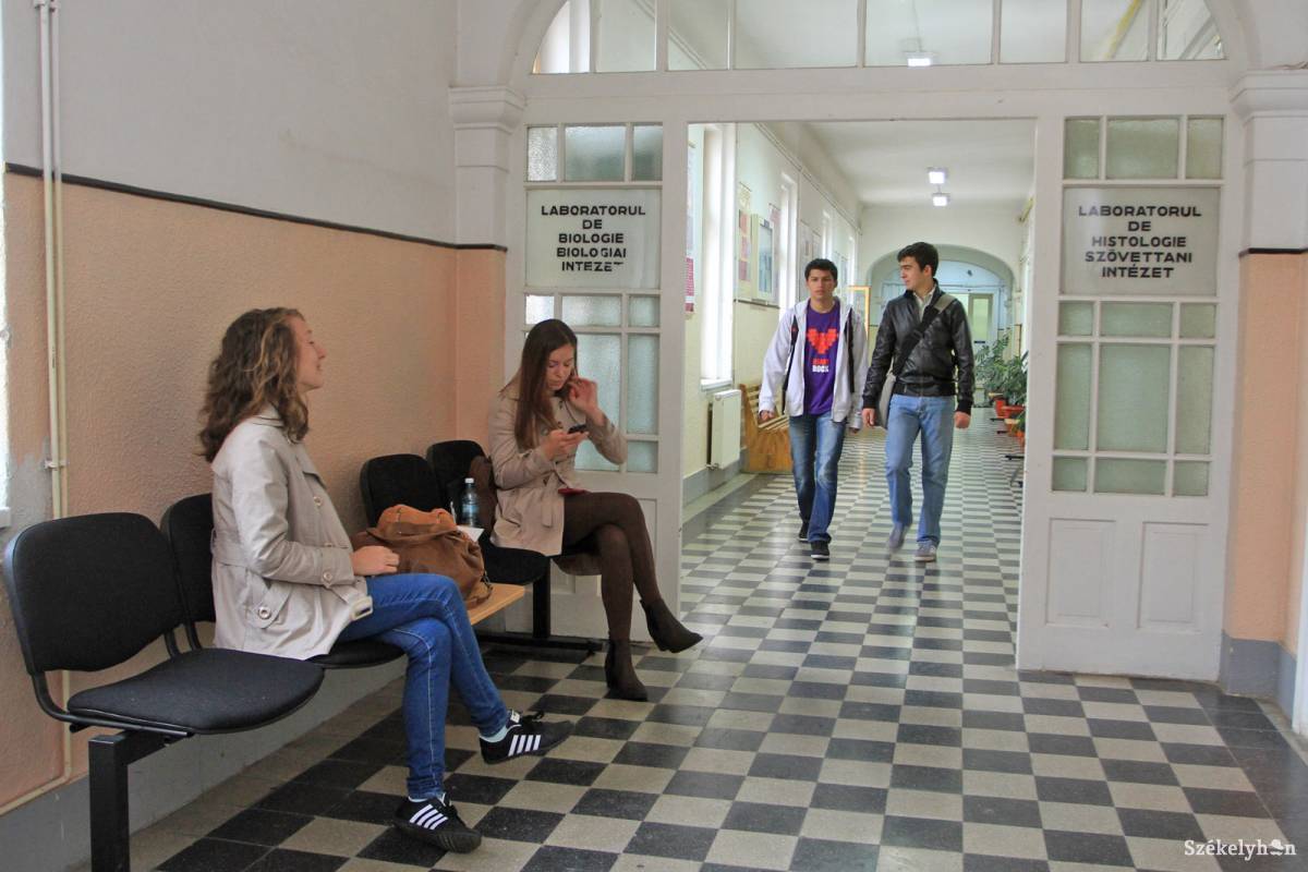 &bullet;  Fotó: Boda L. Gergely