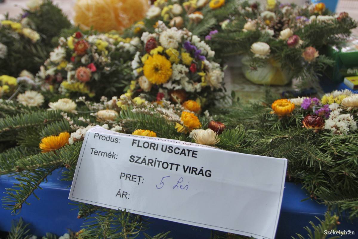 &bullet;  Fotó: Boda L. Gergely