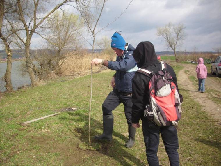 A tizenkét fából egy sem maradt