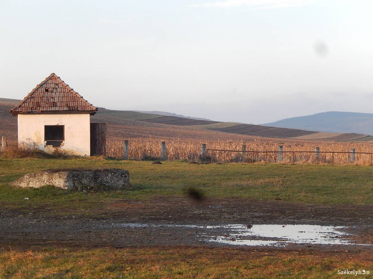 •  Fotó: Gligor Róbert László
