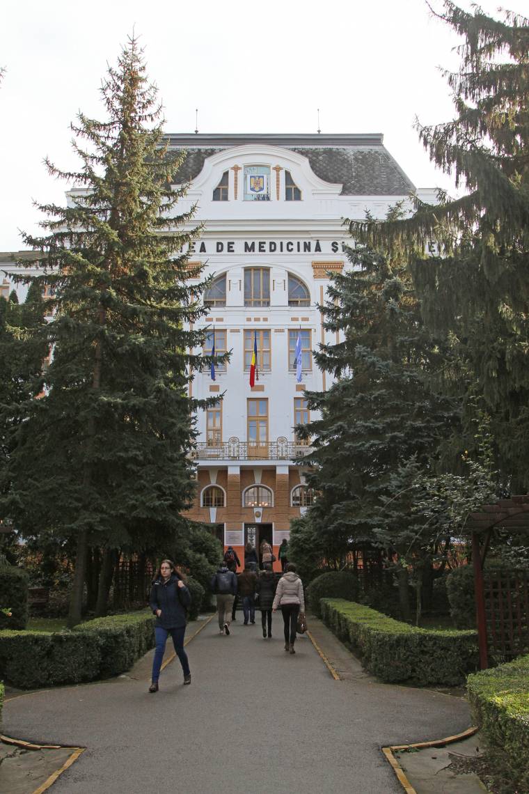 Magyarországi részképzést hirdetnek orvostanhallgatóknak
