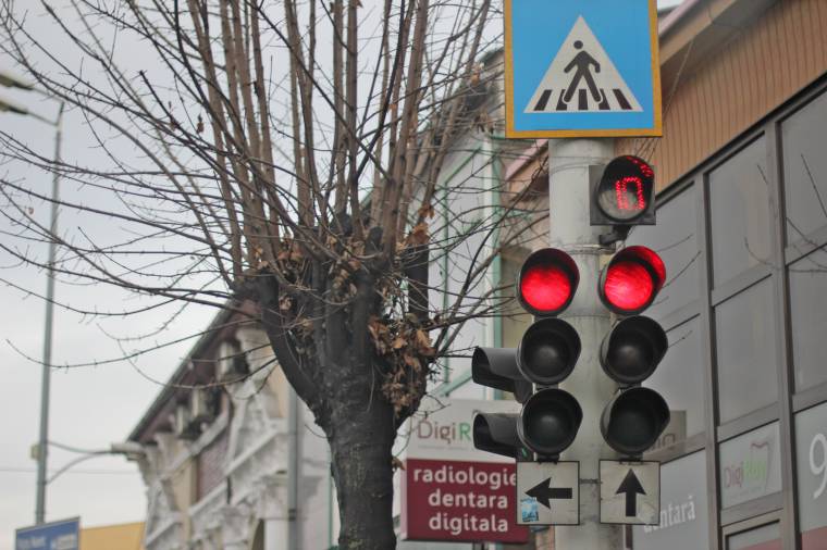 Fák takarják vásárhelyi jelzőtáblákat