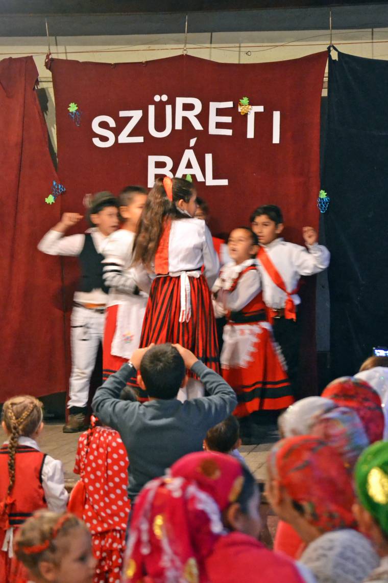 A legkisebbek tartottak csőszbált Vadadon