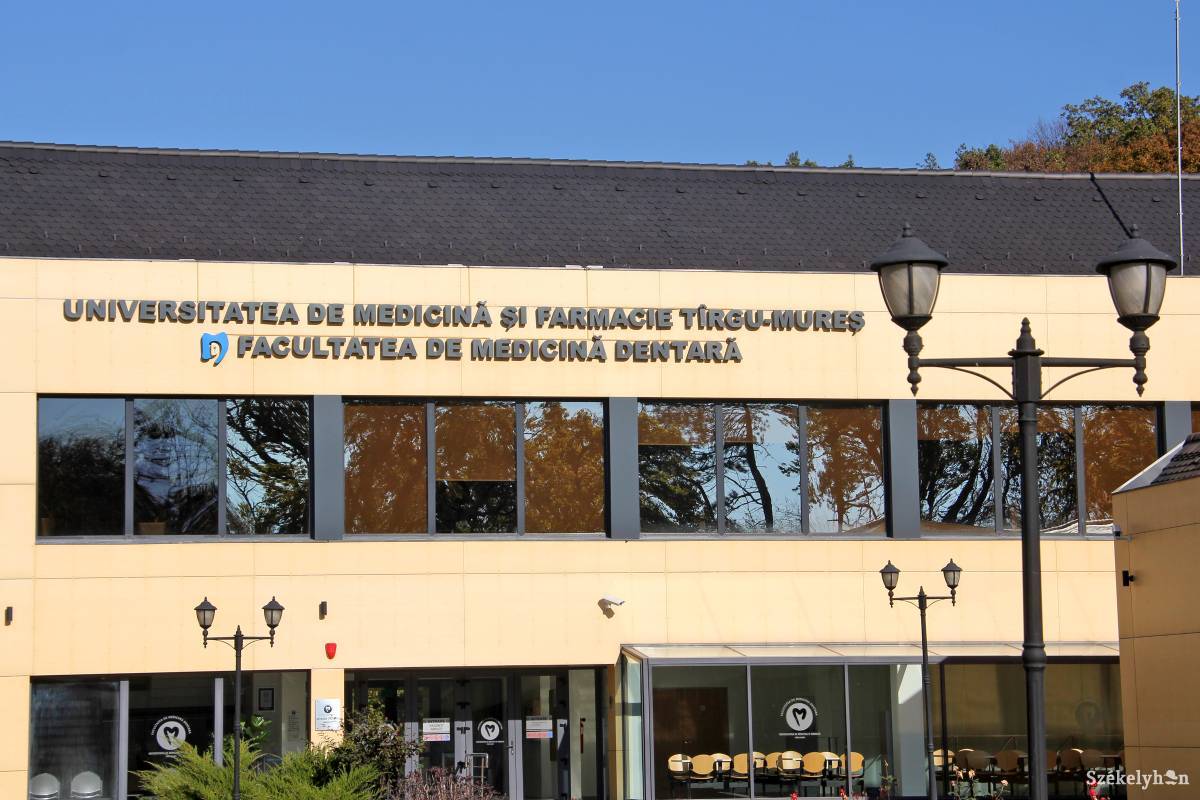 •  Fotó: Haáz Vince