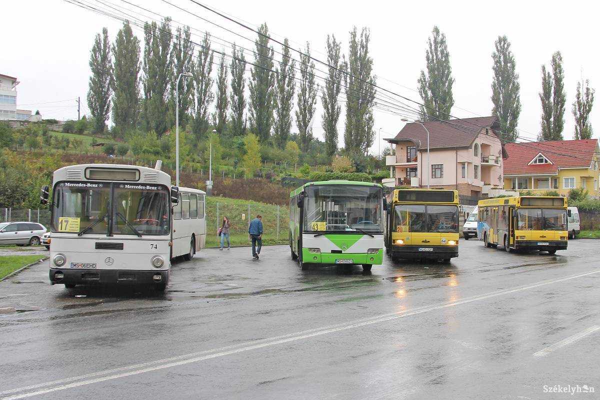 Modernizálnák a buszflottát is •  Fotó: Haáz Vince
