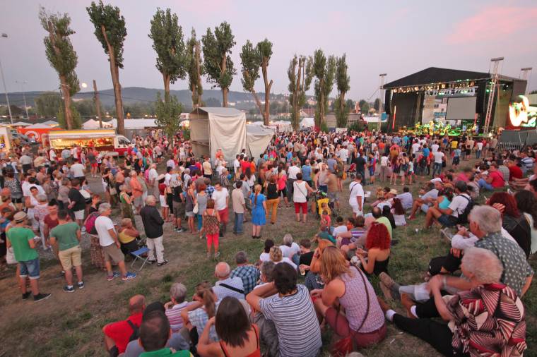 Vita a Vásárhelyi Forgatag támogatásáról