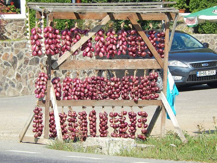 Nézeteltérés a hatóságok és a kibédi hagymaárusok között