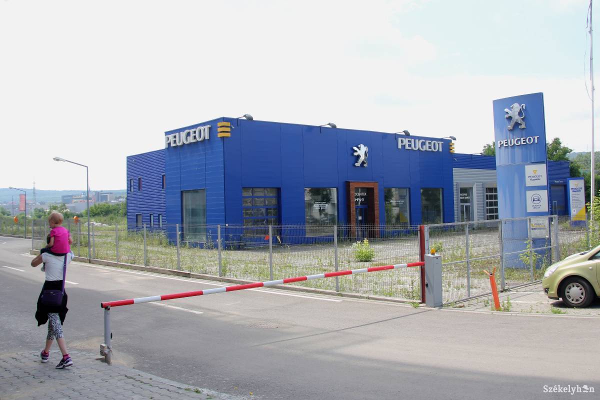 •  Fotó: Haáz Vince