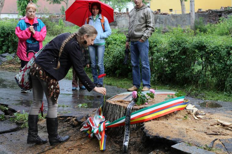 Tüntetés helyett esős séta a Vár sétányon