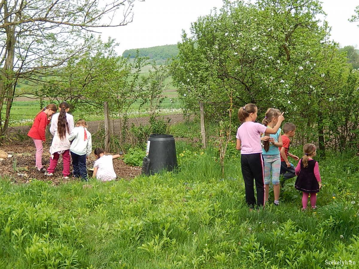 • Fotó: Gligor Róbert László