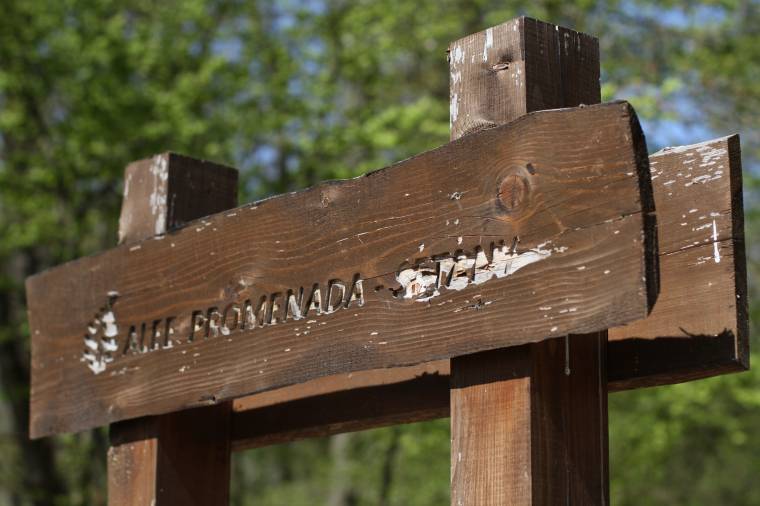 Aki látta a medvét, és aki megmondja, hogy mit tanácsos tenni, ha megint látjuk