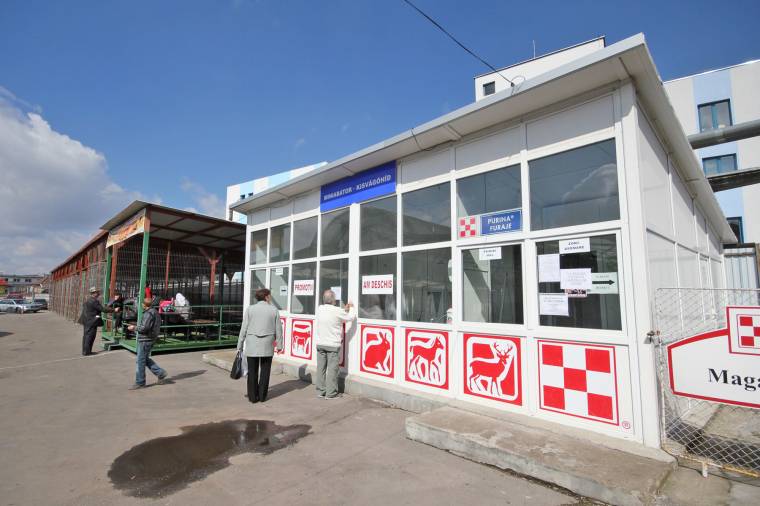 Egyetlen piacon lesz bárányvásár
