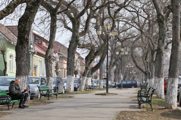 Védetté nyilvánítanák az utolsó összefüggő marosvásárhelyi fasort