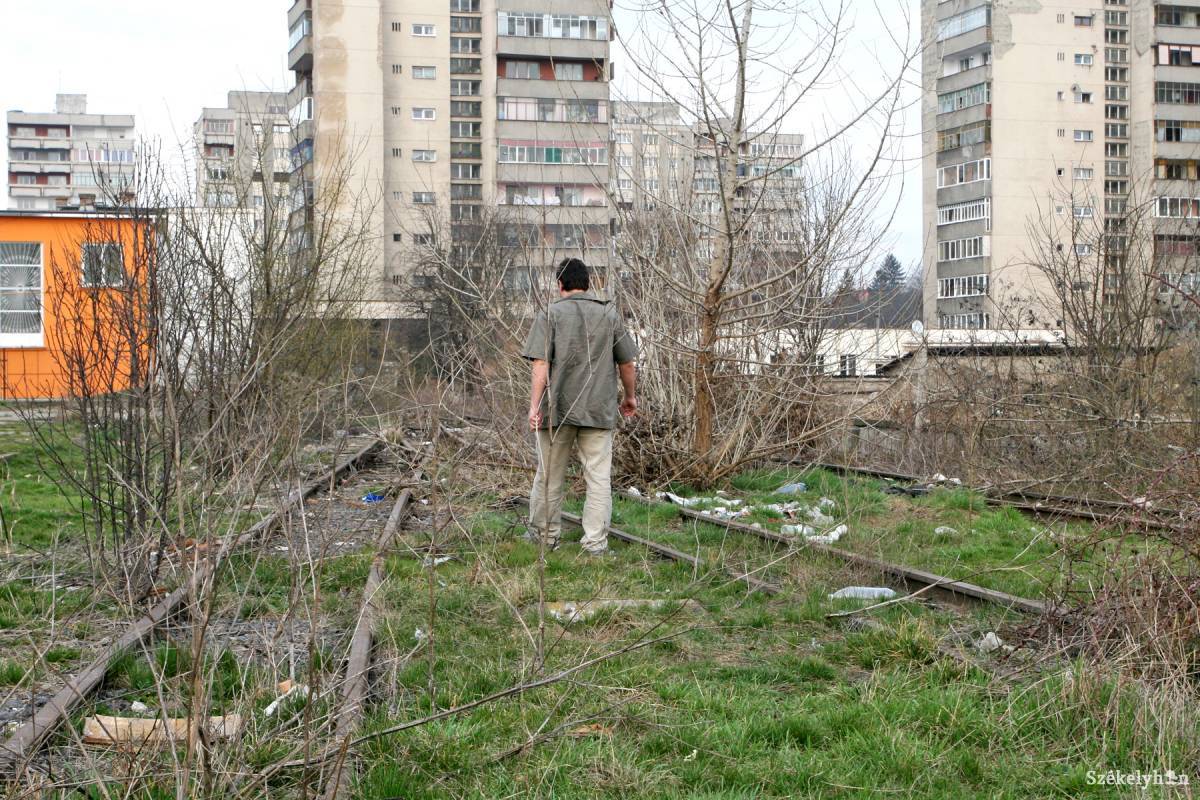 • Fotó: Boda L. Gergely