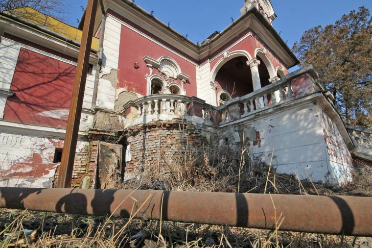 Aranykakas: ironikus román reakció Peti András terveire