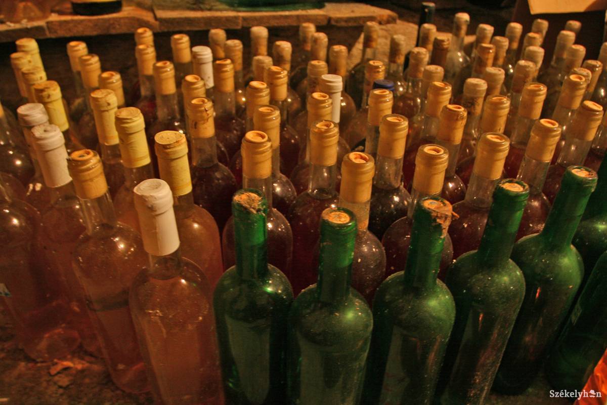 • Fotó: Boda L. Gergely