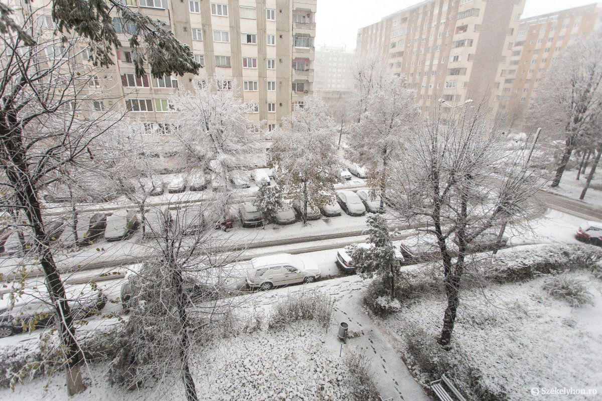 &bullet;  Fotó: Boda L. Gergely
