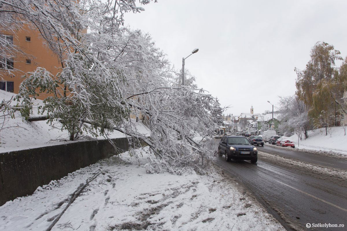 &bullet;  Fotó: Boda L. Gergely