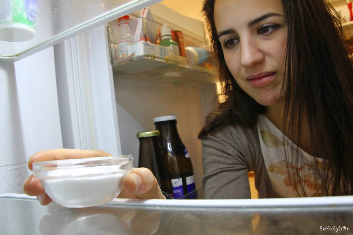 •  Fotó: Hajnal Csilla