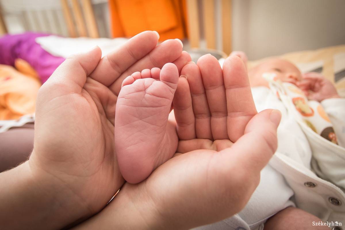 Mindkét támogatási formát a 2017. június 30. után született gyermek után lehet igényelni, a gyerek születését követő hat hónapon belül. Illusztráció •  Fotó: Boda L. Gergely