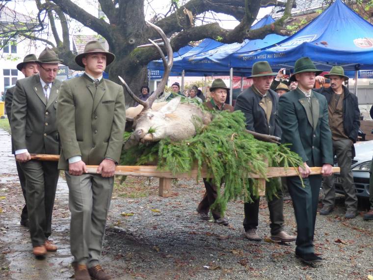 Vad és vadász dicsérete
