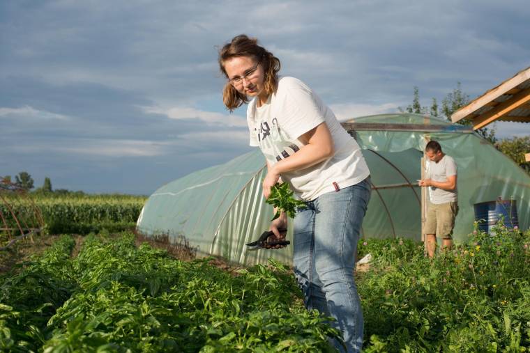 Vállalkozói készségfejlesztő program indul fiataloknak