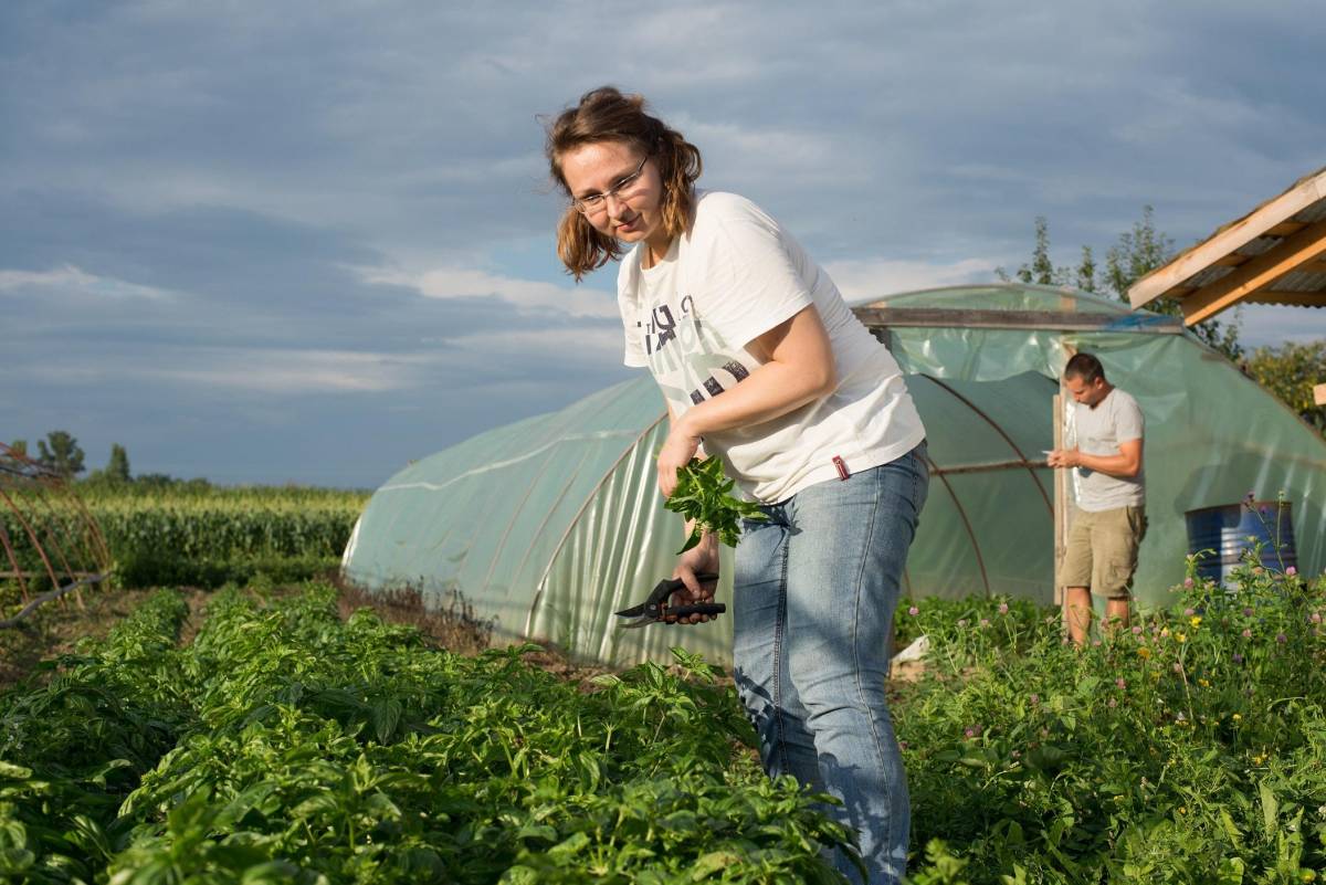 &bullet;  Fotó: Kósa István / archív