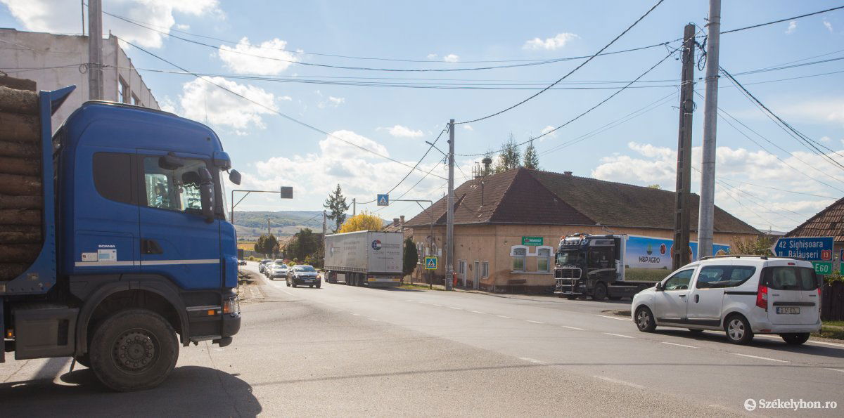 Illusztráció •  Fotó: Boda L. Gergely