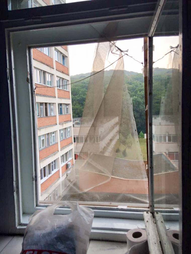 Ezért vannak bogarak a vásárhelyi kórházban a vezetőség szerint