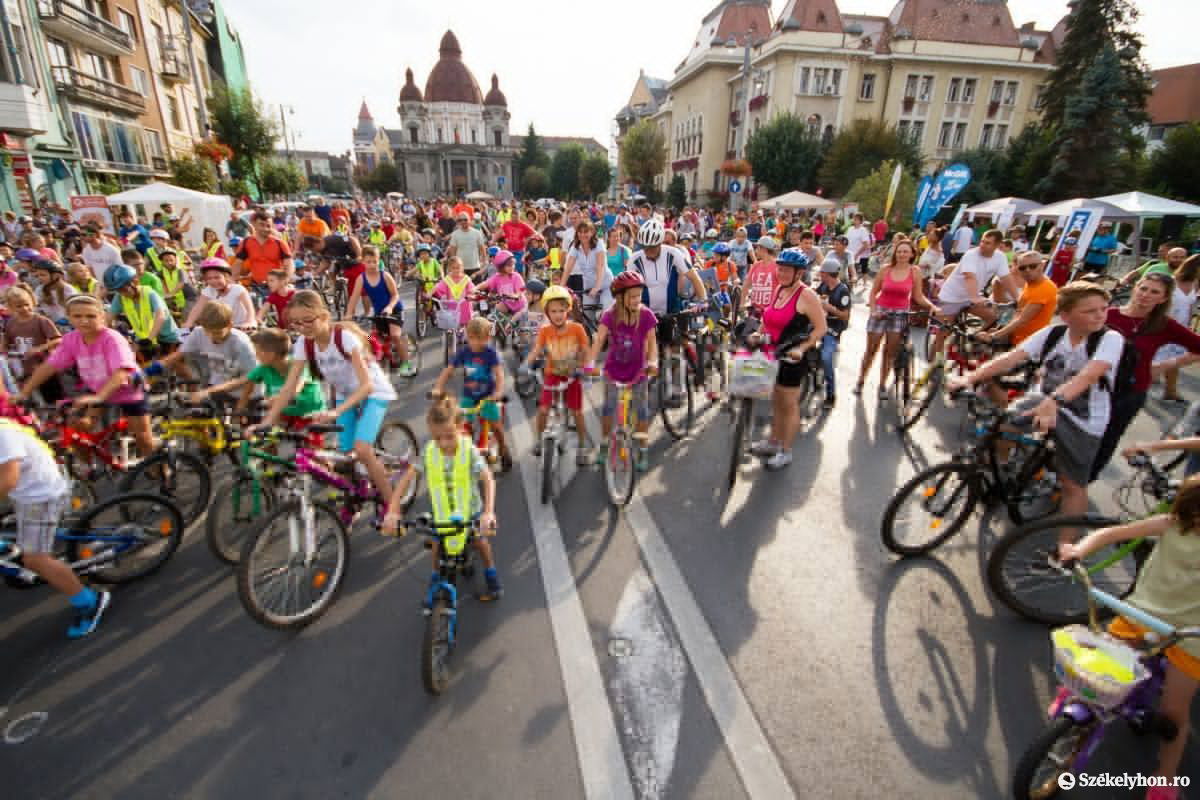 •  Fotó: Boda L. Gergely