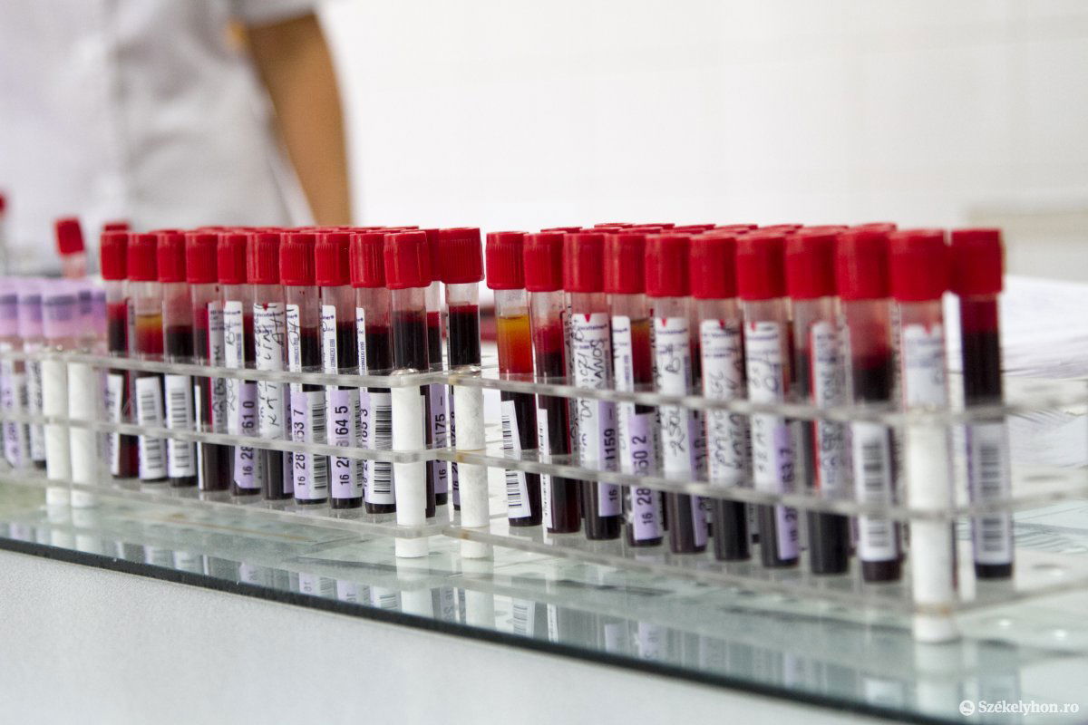 • Fotó: Boda L. Gergely