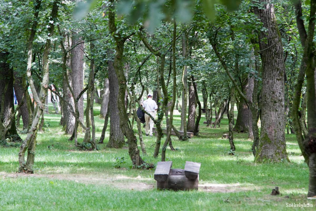 &bullet;  Fotó: Boda L. Gergely