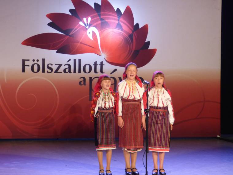 Fölszállott a páva Nyárádszeredában is