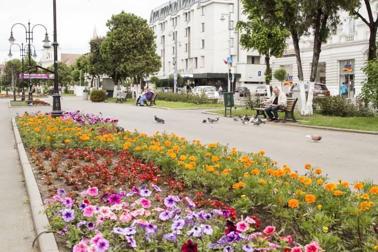Nem tudja lefedni saját szükségleteit a marosvásárhelyi virágkertészet
