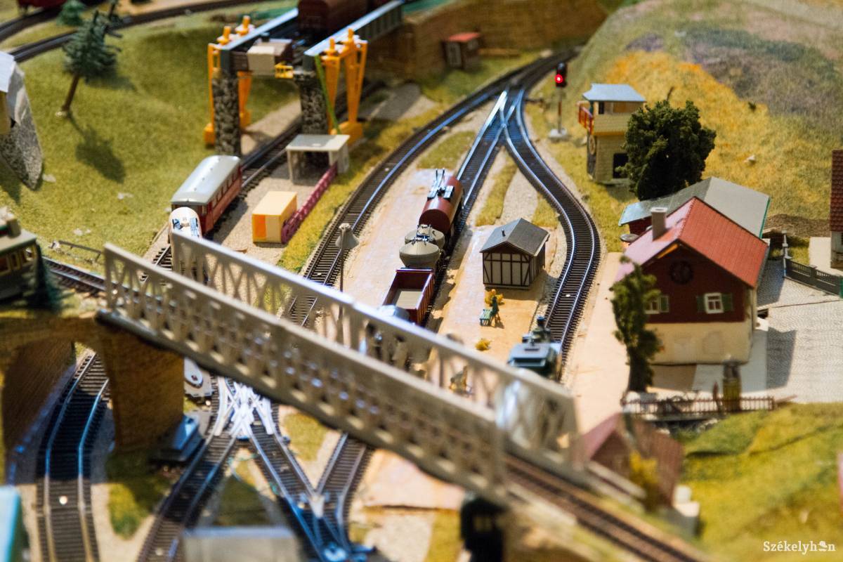 •  Fotó: Boda L. Gergely