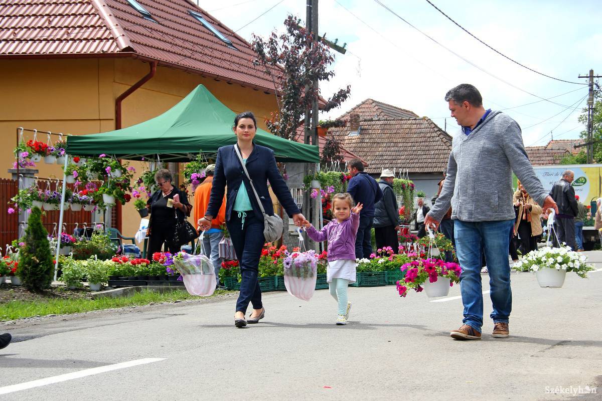 Sok szép virággal lehet hazamennyi Udvarfalváról. Archív &bullet;  Fotó: Haáz Vince
