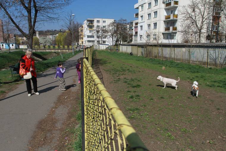 Kutyás gazdik és kisgyerekes szülők aggódnak a rágcsálóirtás miatt