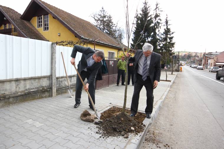 Ingyencirkusznak tartja a faültetési akciót Florea